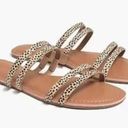 J.Crew  Women’s SEASIDE Strappy Slide Sandals Leopard calf hair Suede size 9 NWOT Photo 8