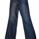 American Eagle Outfitters AE Low-Rise Favorite Boyfriend Jeans size 10 long Photo 2