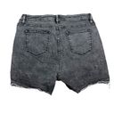 Vigoss  Ace shorts Photo 4