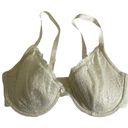 Jones New York  Cream Lace Underwire Bra -36D Photo 1