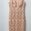 Bisou Bisou Blush Pink Lace dress size 8. Photo 1