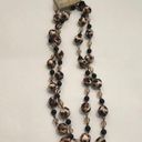 BKE NWT  Leopard Long Necklace Photo 0