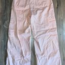 American Eagle Baggy Wide Leg Cargo Pants Photo 1