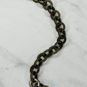 Animal Print Embossed Concho Metal Chain Link Belt Size Small S Medium M Photo 12