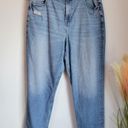 American Eagle , Curvy Mom High Rise Stretch Distressed Women's Jeans, Size 16 Photo 10