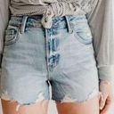 Carly Jean Los Angeles Carly Jeans Distressed Cut Off Jean Shorts | S Photo 0