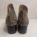 Andrew Geller  Friona Snakeskin Print Booties Size 9 Photo 2