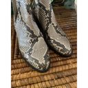 Steve Madden  Conspire Studded Snakeskin Ankle Boots Size 6.5 Biker Moto Booties Photo 4