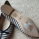 J.Crew Gemma Flats In Stripe 8 Navy Blue White Pointy Ballet Shoes Photo 2