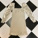 Wilfred NWT Aritzia X  Ballad Smocked Metallic Silver Gold Stretchy Ruffle Mini M Photo 5