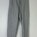 TNA Womens Cozy Fleece Boyfriend Sweatpants Drawstring Waist Pull On Gray XS Photo 0