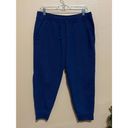 Patagonia Patagonis capri Joggers Photo 4