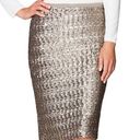 J.Jill  Sterling Sequined knit pencil skirt with matte sequins size M petite Photo 0