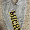 Champion Michigan Wolverines Sweatpant Photo 1