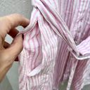 Alexis Dress Pink Striped Photo 5