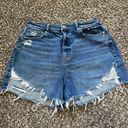 American Eagle High Rise Distressed Mom Shorts Size 10 Photo 0