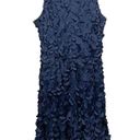 Petal Theia Appliqué Sleeveless  Dress Navy Blue Size 12 Photo 6