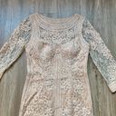 Sue Wong  Blush Pink Lace Bodycon Cocktail Dress Size 8 Photo 4