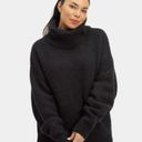 UGG NWT   Lylah Rollneck Sweater In color Tarr Wool Alpaca Ski Photo 1