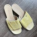 Bottega Veneta  Pony Hair Green Yellow Cheetah Slides Sandals Photo 4