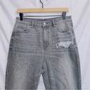 American Eagle AE Gray Wash Denim High Waisted Mom Jean size 10 Photo 2