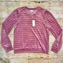 Heartloom NWT  Somi Velour Sweatshirt Lilac Photo 3