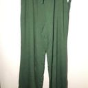 Terra & Sky  Lounge Pants - NWT Green 1x (16 - 18) Photo 0