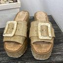 Sam Edelman  Tan Woven Platform Espadrille Slip On Heel Shoes 8 Photo 1