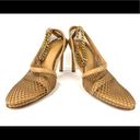 Bottega Veneta  Stretch Chain Ankle Strap Nappa Leather Heel Mesh Pumps Size 38.5 Photo 13