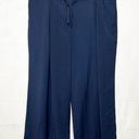 Suzanne Betro NWT  Navy Pleated Wide-Leg Crop Pants Size 2X (38x24) Tie Waist Photo 0