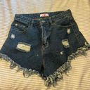 BuddyLove Jean Shorts Photo 0