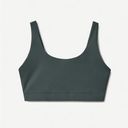 Everlane  The Perform Bra In Pine Photo 0