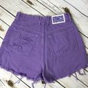 Bongo 🌴 Vintage High Rise Ripped Purple Shorts Photo 2