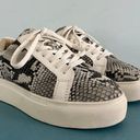 Myra Bags Myra Round About Faux Snakeskin Leather Lace Up Platform Sneakers Photo 1