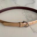 Coach Vintage  Calfskin Belt Style 8567 in Tan with Silver Tone Buckle Size Large Photo 7