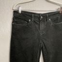 Patagonia Women 28 Dark Gray Corduroy Pants Straight Cut Stretch Outdoor Hiking Photo 3