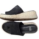 Eileen Fisher  Tarry Toe Loop Espadrille Wedge Slide Sandal Black Women’s 6 Photo 0