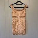 Blossom NWT  Nude Crochet Off The Shoulder Dress Size 8 Photo 2