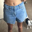 American Eagle Outfitters “Mom Shorts” Photo 3