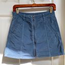 American Eagle Corduroy High Rise Skirt  Photo 0