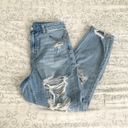 American Eagle Curvy Mom Jean Photo 0