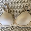 American Eagle Tshirt Bra  Photo 0