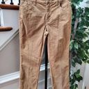 st. john's bay  Women's Brown Cotton Zipper Mid Rise Straight Leg Pant Size 12 Photo 0