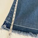 AG Adriano Goldschmied  Yvette High Rise Wide Leg Ankle Jeans Sz 30 Photo 6