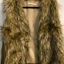 Ellison Fur Vest Photo 0