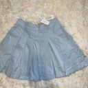 American Eagle NET  Pleated Skirt Size 0 Photo 0