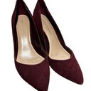 Loeffler Randall  Tamsin Pointed Toe Pumps Mid Heel Stiletto Suede Bordeaux 8.5 Photo 1