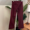 Alice + Olivia  Stacey bell bottoms in garnet Photo 3