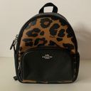 Coach NWOT.  Mini Court Backpack In Signature Canvas Leopard Backpack Photo 4