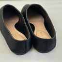 Taryn Rose  black Elene Haircalf mules 8.5 Photo 3